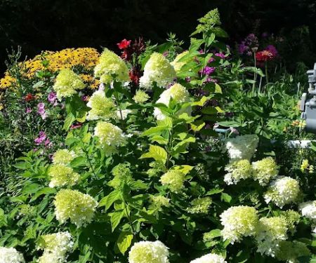 Manufactured Housing Specialists