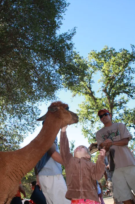 Yosemite Pines RV Resort & Family Lodging Picture 7