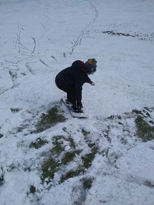 North Baird Trailer Court Picture 1