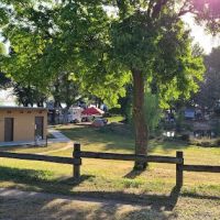 T - Island Campground ico
