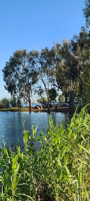 T - Island Campground Picture 4
