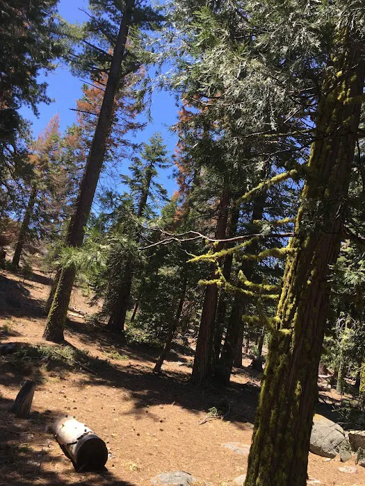 Cascade Campground Picture 6