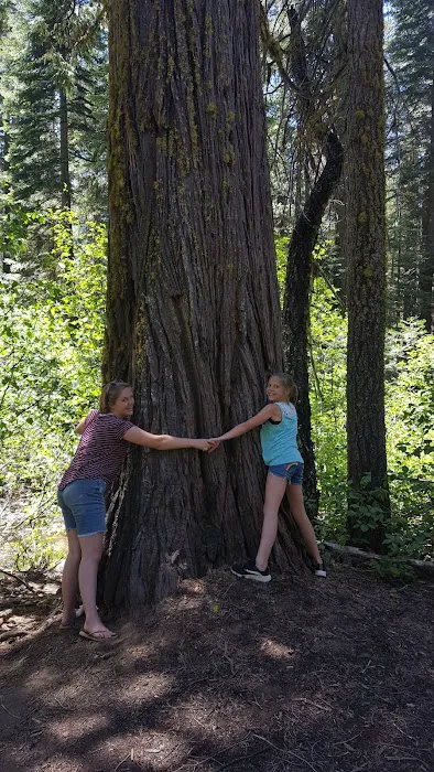Cascade Campground Picture 10