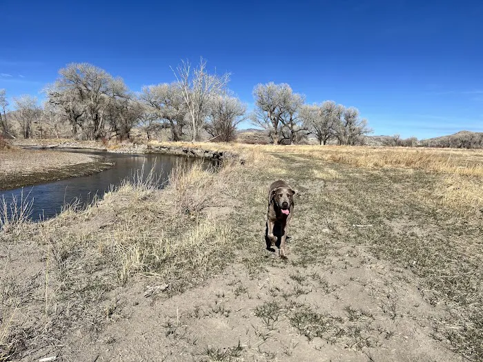 Riverbend Campground Picture 10