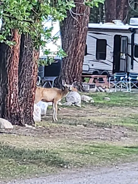 Hunewill's Doc and Al's Resort Picture 5