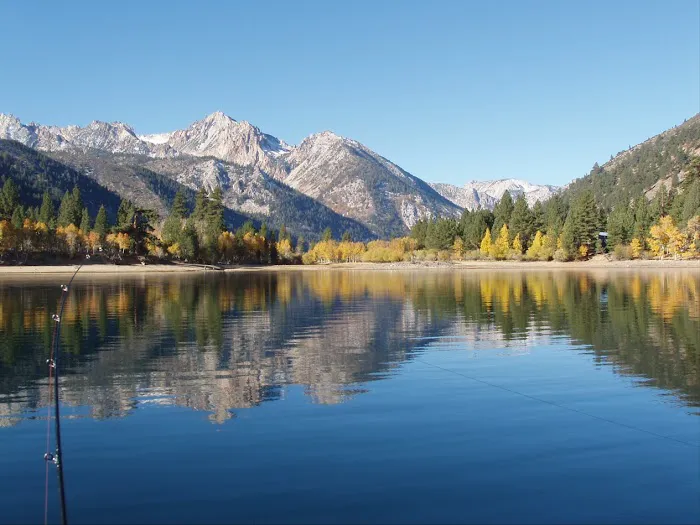 Hunewill's Doc and Al's Resort Picture 6