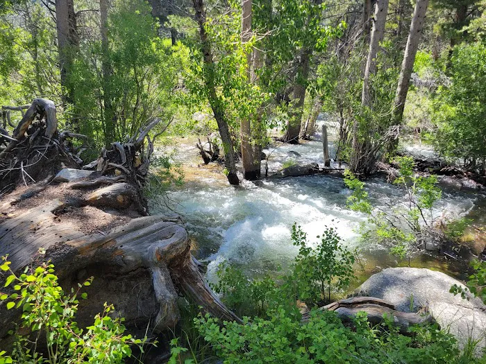 #2 Honeymoon Flat Campground 5/16 -5/18 Picture 1