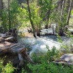 #2 Honeymoon Flat Campground 5/16 -5/18