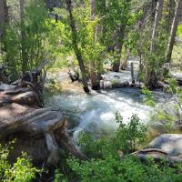 #2 Honeymoon Flat Campground 5/16 -5/18 ico