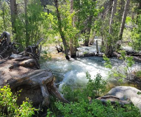 #2 Honeymoon Flat Campground 5/16 -5/18