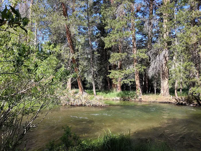 #2 Honeymoon Flat Campground 5/16 -5/18 Picture 6