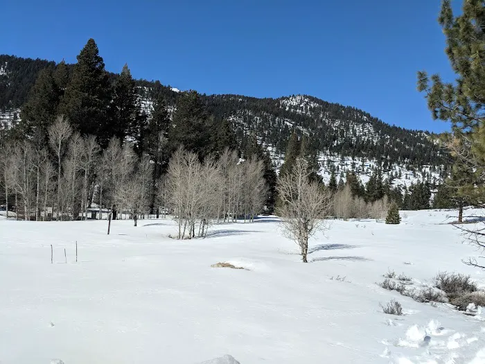 #2 Honeymoon Flat Campground 5/16 -5/18 Picture 10
