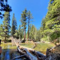 Robinson Creek North Campground ico