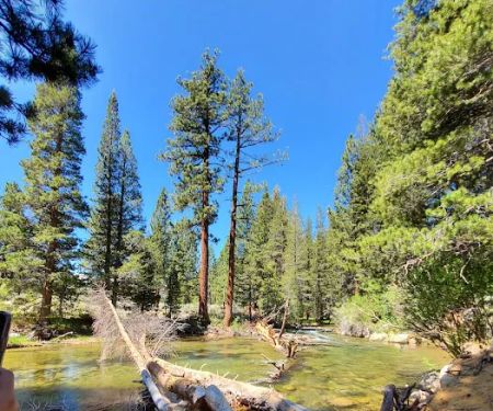 Robinson Creek North Campground