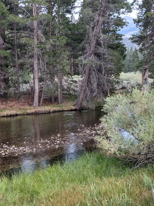 Robinson Creek North Campground Picture 2