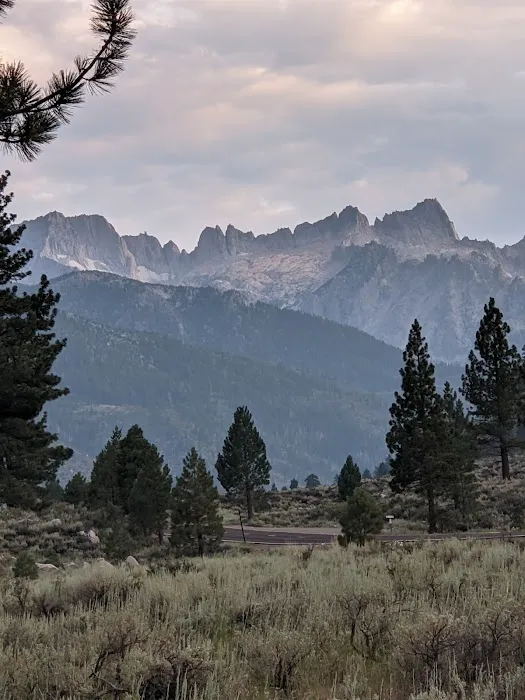 Robinson Creek North Campground Picture 6