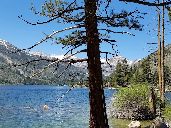 Robinson Creek North Campground Picture 9