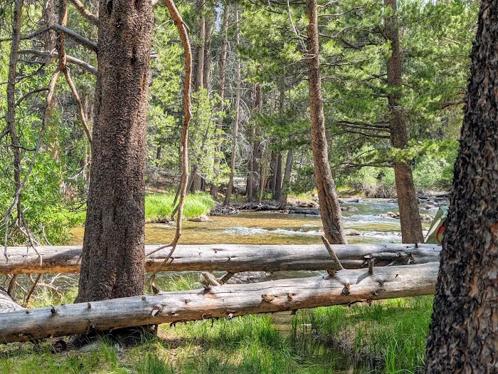 Robinson Creek North Campground Picture 5