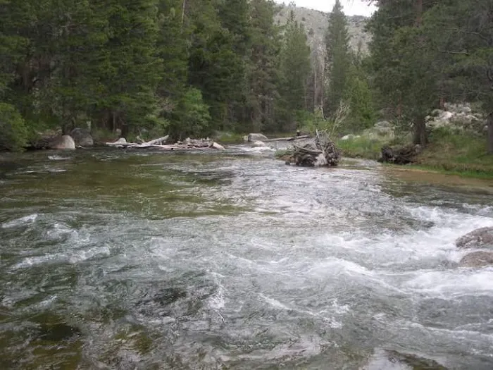 Robinson Creek North Campground Picture 8