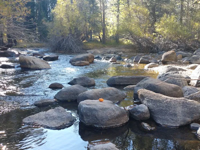 Robinson Creek North Campground Picture 7