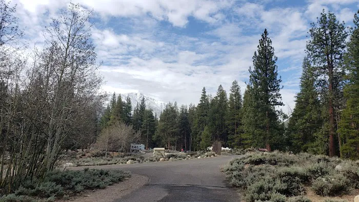 Robinson Creek South Campground Picture 2