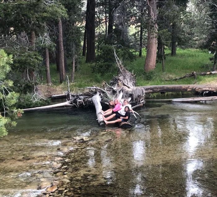 Robinson Creek South Campground Picture 1