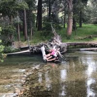 Robinson Creek South Campground ico