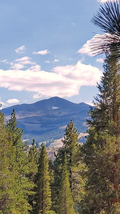 Robinson Creek South Campground Picture 3