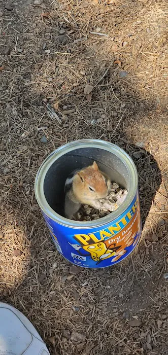 Robinson Creek South Campground Picture 6