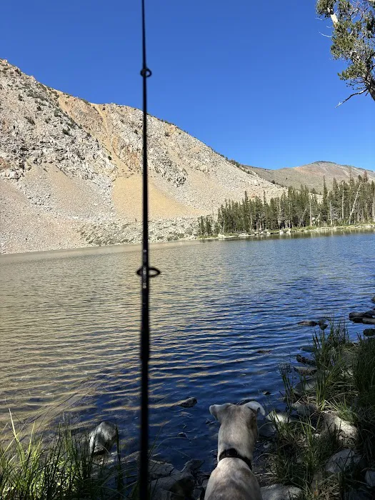 Paha Campground Picture 8