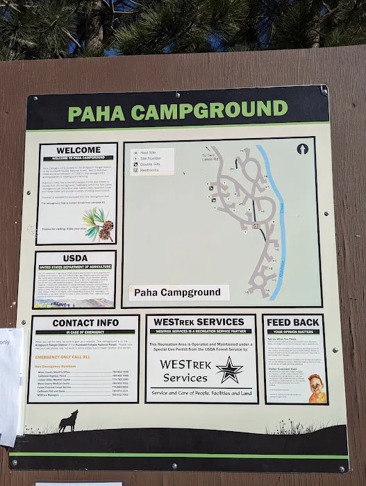 Paha Campground Picture 10