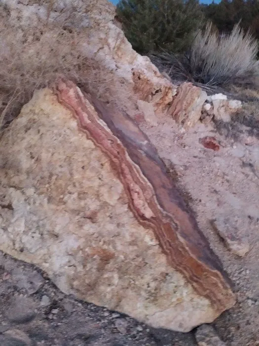 Travertine Hot Springs Picture 7