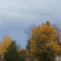 Edgewood Country Estates ico