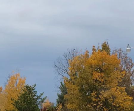 Edgewood Country Estates