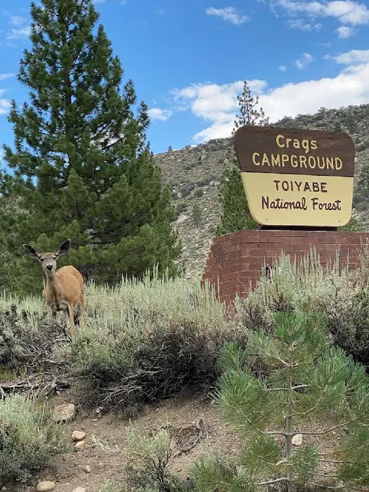 CRAGS CAMPGROUND Picture 3
