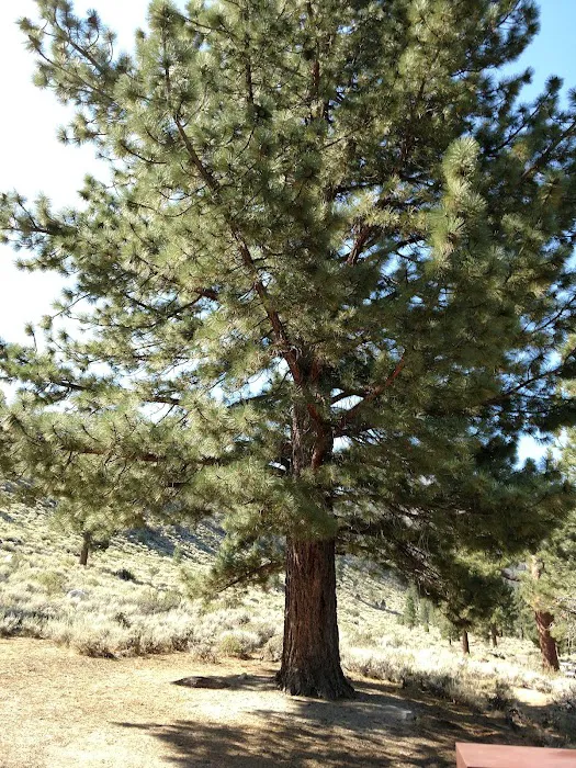 CRAGS CAMPGROUND Picture 10