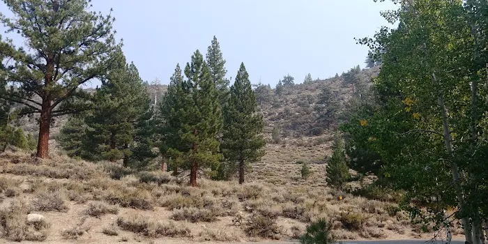 Lower Twin Lakes Campground Picture 6