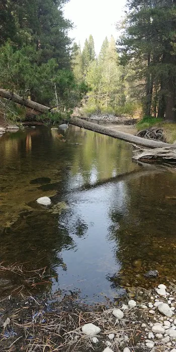 Lower Twin Lakes Campground Picture 5