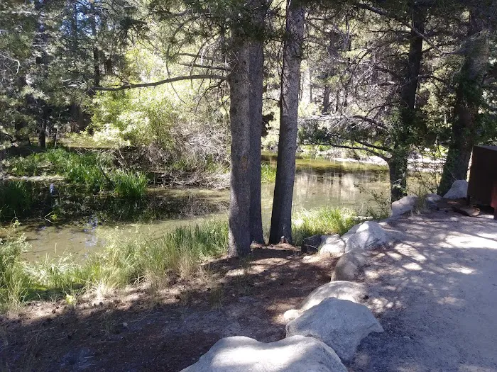 Lower Twin Lakes Campground Picture 9