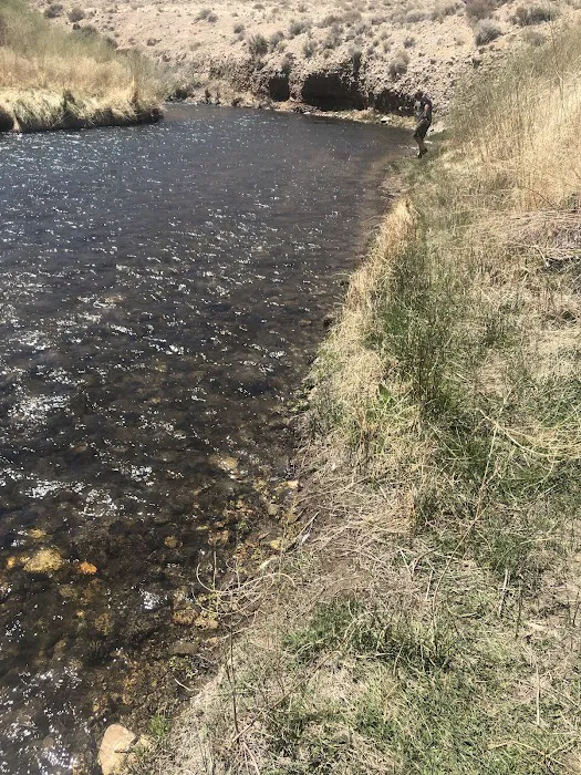 Bighorn Campground Picture 5