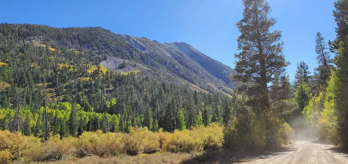 Green Creek Campground Picture 4