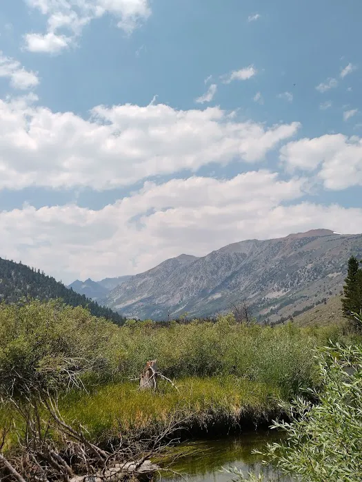 Green Creek Campground Picture 7