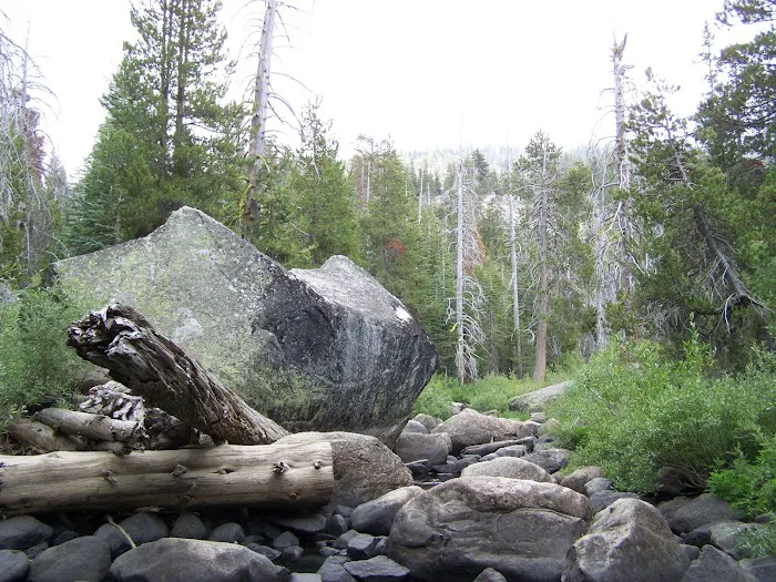 Herring Creek Campground Picture 2