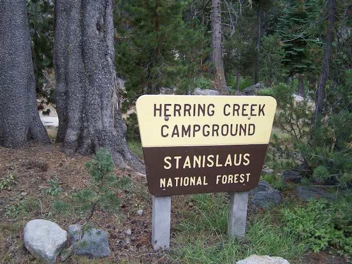 Herring Creek Campground Picture 6