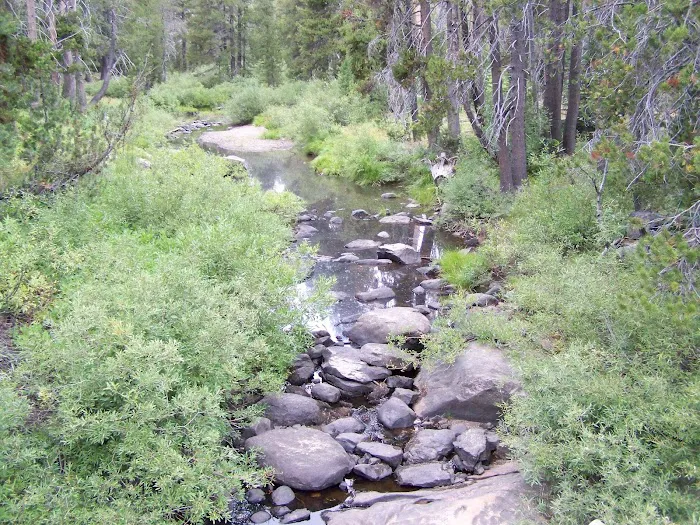 Herring Creek Campground Picture 1