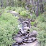 Herring Creek Campground