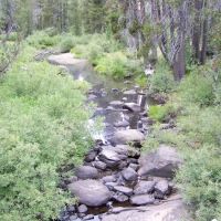 Herring Creek Campground ico