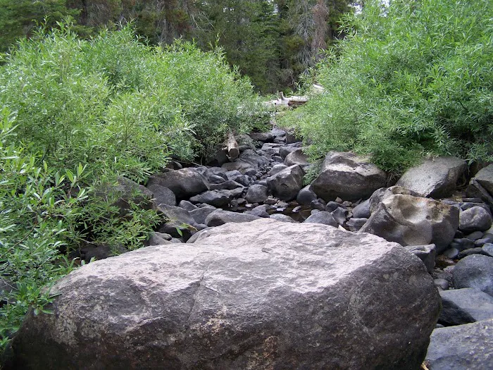 Herring Creek Campground Picture 8