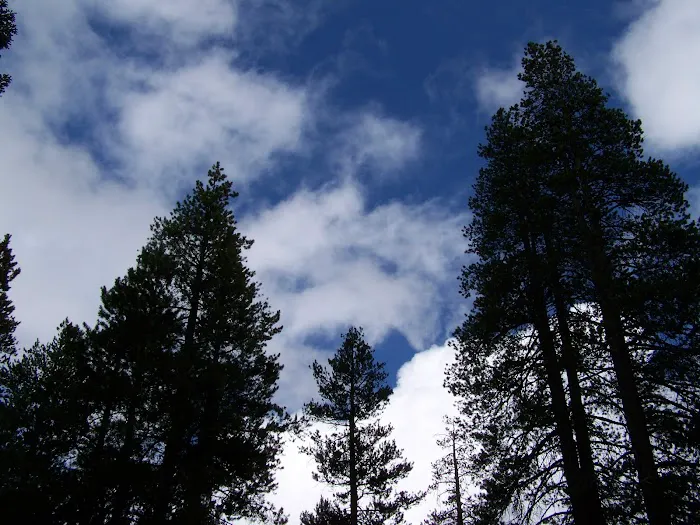 Herring Creek Campground Picture 7