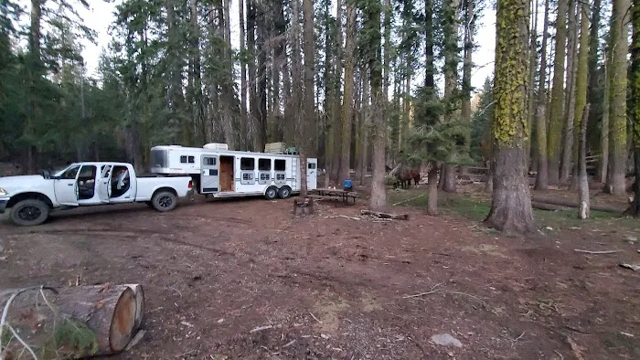 Kerrick Corral Horse Camp Picture 1